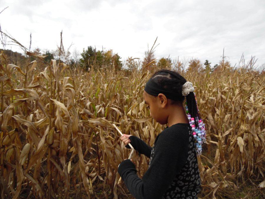 CORNFIELDS, COSTUMES AND CULTURE, OH MY: Throughout the year, and especially on Halloween, people don clothes and styles of cultural significance to minorities. Wearing these styles, like cornrows, and treating them as costumes is cultural appropriation. 