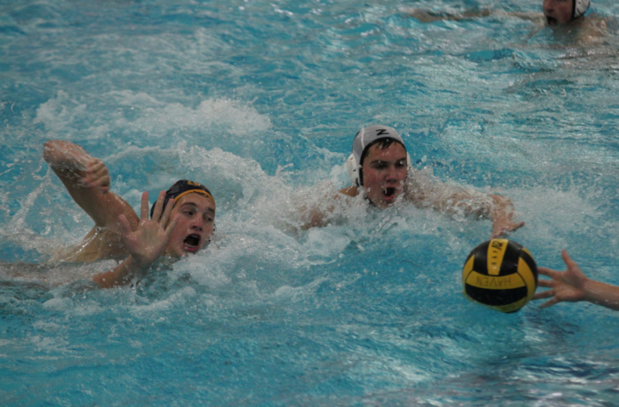 Junior Nick Wilson swims towards the ball in a match against Zeeland East. The Bucs will have to depend on Wilsons defense if they want to advance farther in the postseason.