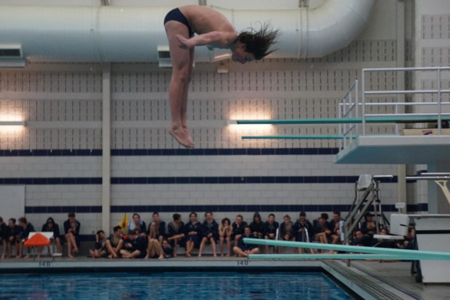 TAKING A DIVE: Malott executes a challenging dive during a meet. The junior brightens the squad’s spirits with his energy that is often contagious for everyone around him. This also is noticeable in the style of Malott’s leadership and personality.