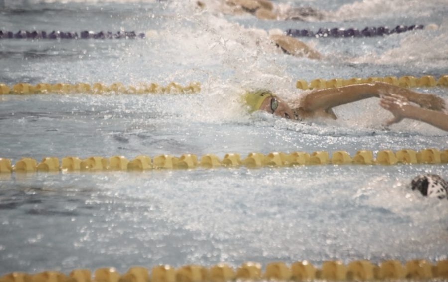 Senior Ocean Veldhouse battles the 100 freestyle in last years state swim meet. 
