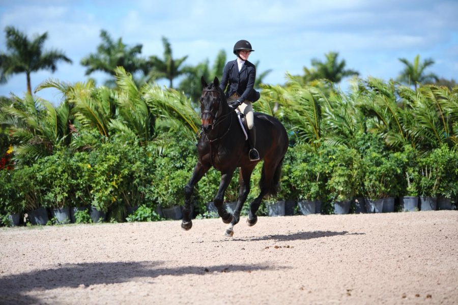 FOCUSED%3A+Senior+Lilly+Anthes+rides+her+horse%2C+Donnie%2C+while+scanning+the+area+during+a+show.+Anthes+is+an+accomplished+equestrian+who+competes+on+at+the+national+level+and+regularly+travels+the+country+to+compete+against+the+best+of+her+age.+