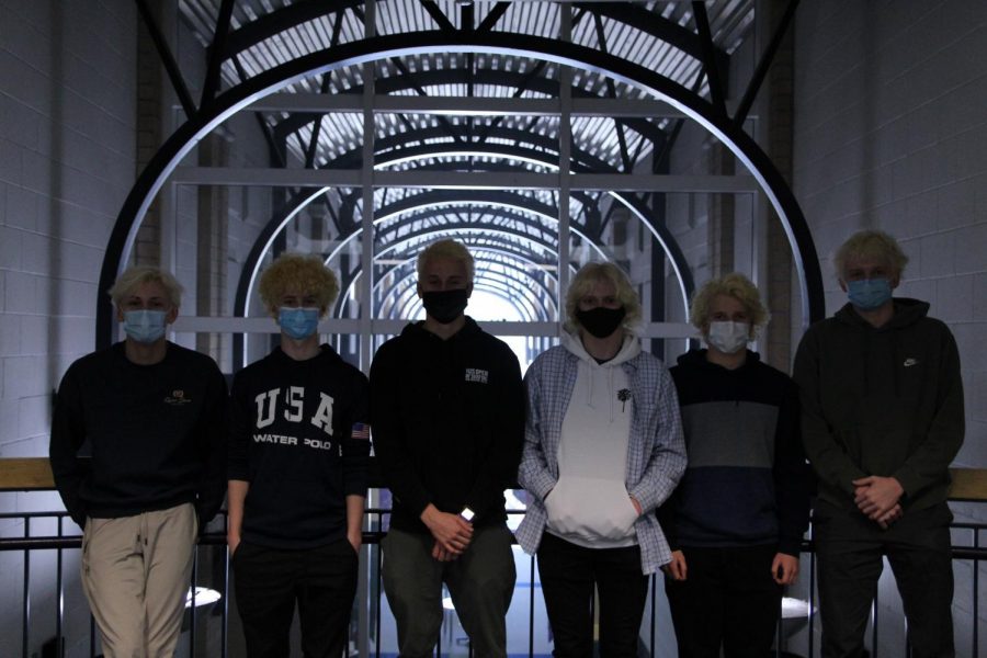 BLEACH: From left to right, Chase Layman, Colin Kelly, Thomas MacDonald, Gabriel Hamm, Sam Timmer and Micheal MacDonald pose with their bleached hair. 