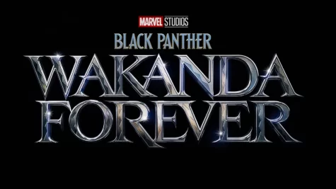 Black Panther: Wakanda Forever is the adequate savior of Marvels fourth phase