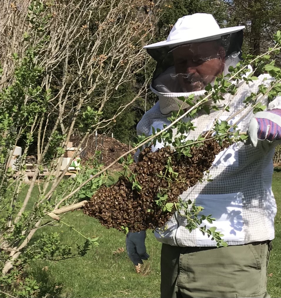 Matthew Pohl Student safety advocate and local beekeeper, works diligently when handling his many hives in just his backyard!